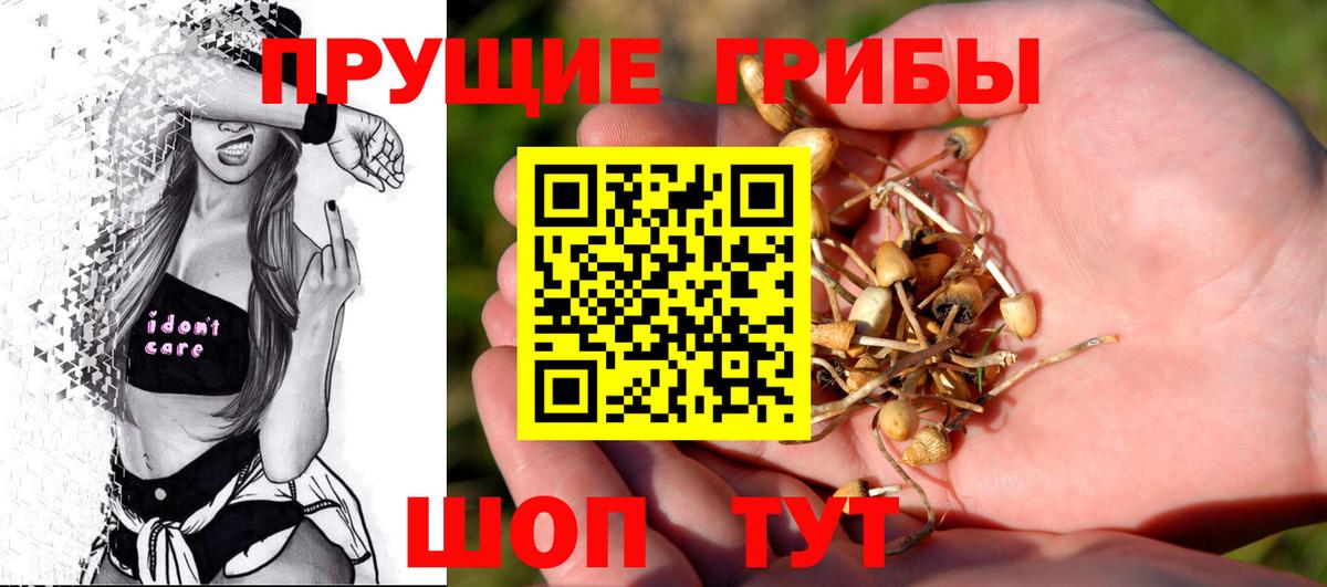 Псилоцибиновые грибы MAGIC MUSHROOMS  Вход с VPN  Мегион 